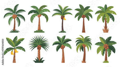 Diverse flat design palm tree vector collection. green foliage, brown trunks, some with coconuts, some with bananas. tropical summer holiday art.
