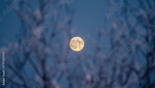 Bright full moon illuminati...
