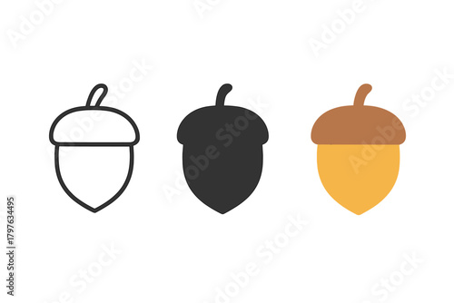 Three different types of acorns are shown in black, white, and yellow. The black acorn is the most prominent, with the white and yellow acorns being smaller and less noticeable