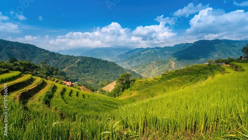 Terraced rice paddies in a ...