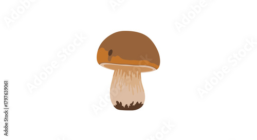 A charming illustration of a porcini mushroom with a brown cap and a thick, pale stem, isolated on a white background.