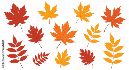 A vibrant collection of various autumn leaves in warm fall colors, set against a clean white background, perfect for seasonal designs.