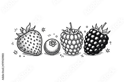 Black and white illustration of strawberries, blueberries, raspberries, and blackberries