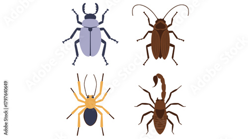 Set of insect icons flat vector design isolated on white background