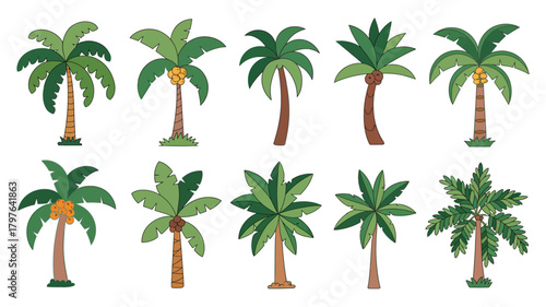 Colorful cartoon palm trees vector illustration set. tropical plant collection for summer, island, and vacation designs.