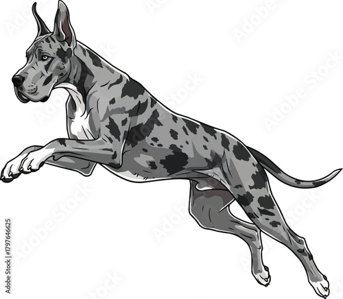 Great Dane dog jumping leaping pose vector illustration