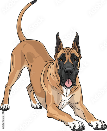 Great Dane dog cute play bow pose vector illustration