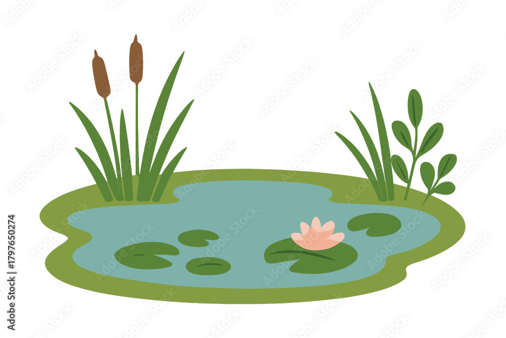 Naklejka premium Natural pond landscape featuring blooming water lily, floating lily pads, and tall cattail reeds