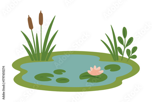 Natural pond landscape featuring blooming water lily, floating lily pads, and tall cattail reeds