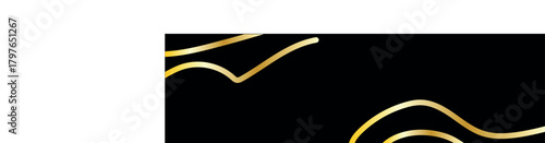 vector illustration of a zebra crossing and road with a black and white racing car in a dynamic modern design