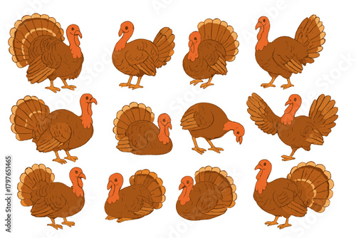 Set of brown domestic turkeys in various standing and sitting positions for holiday