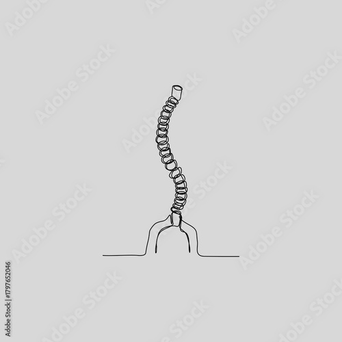 A single continuous line drawing of the human spine and pelvic bone. This minimalist anatomy illustration is perfect for medical, chiropractic, or educational projects.