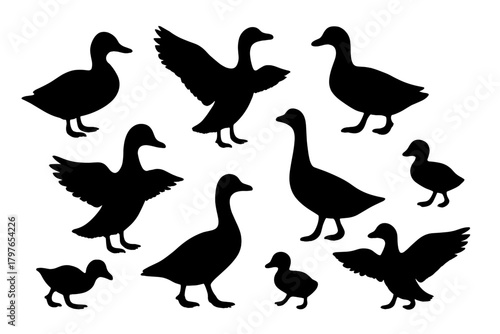 Black silhouettes of geese and ducks in various poses including young birds