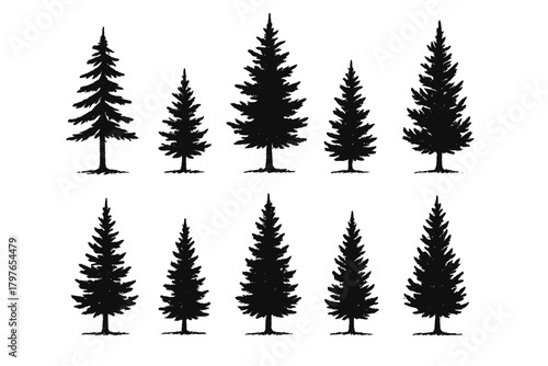 Set of ten different black silhouette evergreen pine trees isolated on a white background