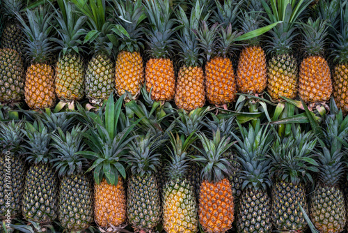 pineapple on the market, fruit background