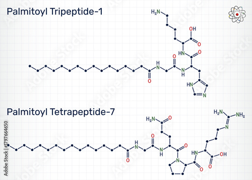 Polyacyl anti-aging cosmetic peptides palmitoyl tripeptide-1 and palmitoyl tetrapeptide-7 molecule. Sheet of paper in a cage. Vector illustration