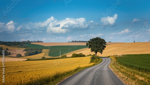 Fototapeta Naklejka Na Ścianę i Meble -  Countryside Road Surrounded by Trees and Fields, suitable for editorial header background