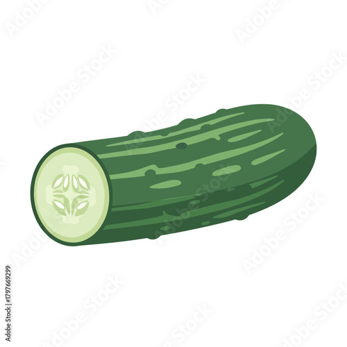 A fresh green cucumber with visible seeds and texture.