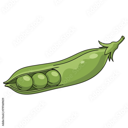 Fresh green pea pod with three peas inside, healthy food illustration.