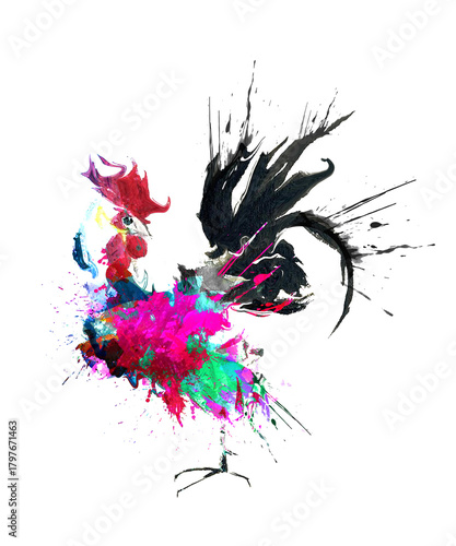 Watercolor Rooster Illustration PNG