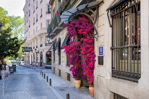A typical street in central Madrid, lined with elegant historic buildings, balconies, and warm facades, capturing the city’s lively charm and timeless architecture