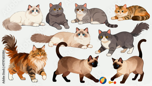 A collection of various cute cats, with cartoon hand-drawn vector illustrations