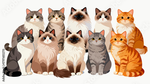 A collection of various cute cats, with cartoon hand-drawn vector illustrations