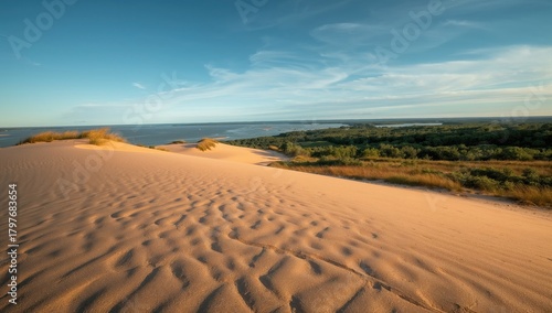 Fototapeta Naklejka Na Ścianę i Meble -  Sand dunes in a desert landscape, showcasing erosion risk