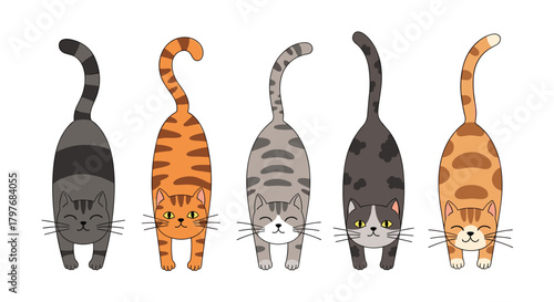 Five cute cartoon cats stretching forward in a playful pose, displaying various fur patterns and charming expressions against a white background.