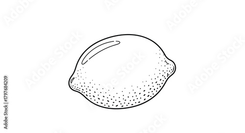 A simple black and white hand-drawn illustration of a whole lemon, depicting its textured skin and classic oval shape.