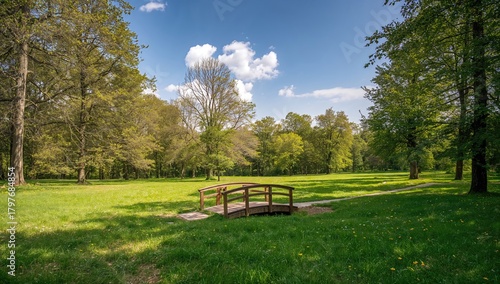 Fototapeta Naklejka Na Ścianę i Meble -  Small bridge in a park surrounded by lush greenery, summer vibe, nature setting, peaceful outdoor retreat