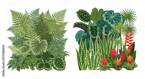 Two lush compositions of various tropical house plants and flowers, including ferns, calathea, sansevieria, and bromeliads for indoor gardening.