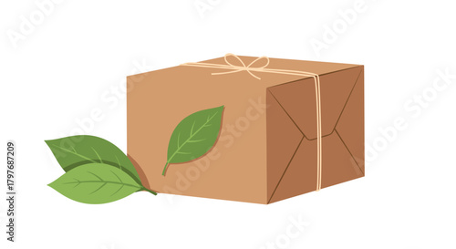 Eco-friendly package represented by a simple brown cardboard box tied with string, with three fresh green leaves next to it for emphasis.