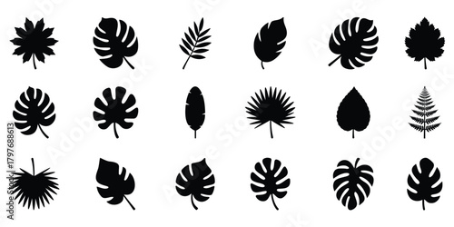 Tropical leaf silhouette set for nature and botanical design. Transparency background.