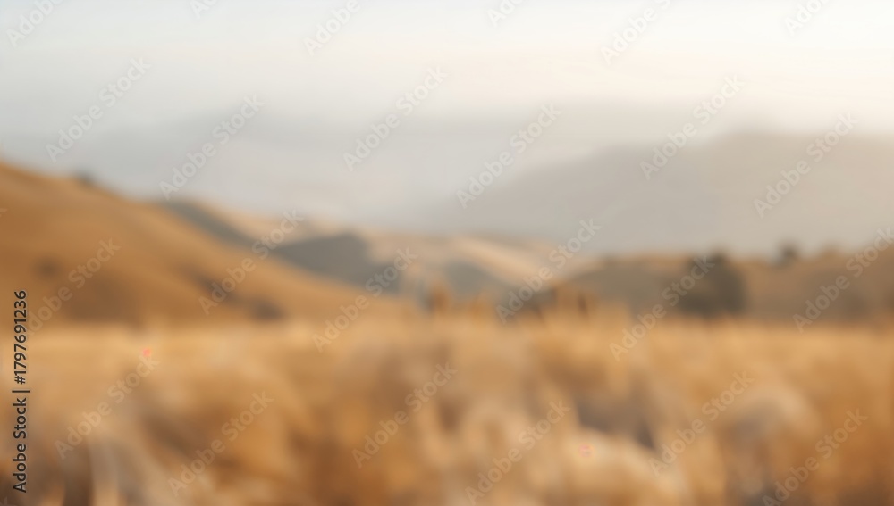 Fototapeta premium Soft outdoor abstract landscape scene with a blurred backdrop, ideal for tranquil editorial backgrounds
