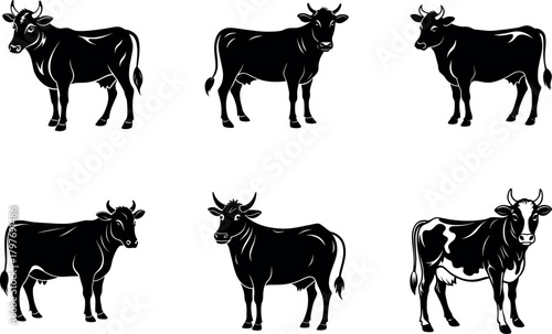 Cattle silhouettes and stylized illustrations, depicting farm animals for diverse projects