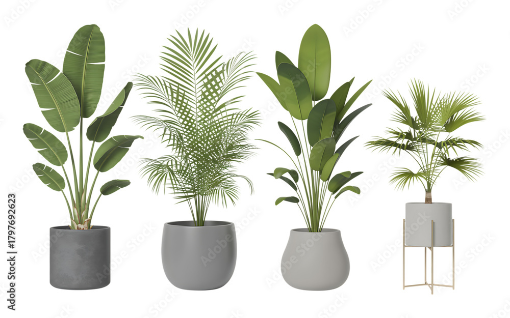 Fototapeta premium Plant in a vase isolated on white