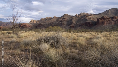 Soledad Canyon, Las Cruces desert scenery, showcasing erosion risk