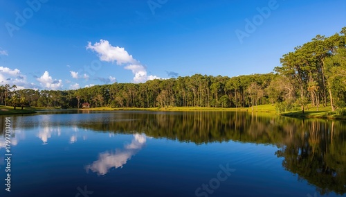 Small lake in Florida, seasonal change
