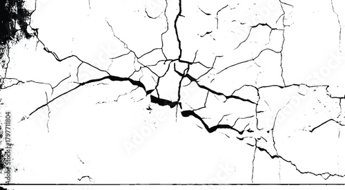 White cracked texture background, featuring a white background with a dry, cracked pattern. The white background adds a rustic feel.