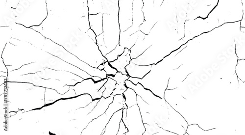 Vector group of black branch grunge cracks isolated on white background. Broken and grated urban street wall construction