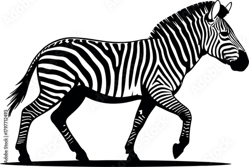 Striped equine walking silhouette zebra black and white