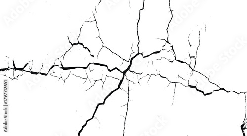 Vector group of black branch grunge cracks isolated on white background. 