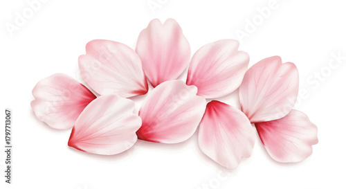 Realistic flat 2D illustration of a graceful group of pink sakura cherry blossom petals with natural curves, creating a delicate springtime visual isolated on white background.