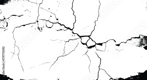 wall with a crack. Vector group of black branch grunge cracks isolated on white background. 