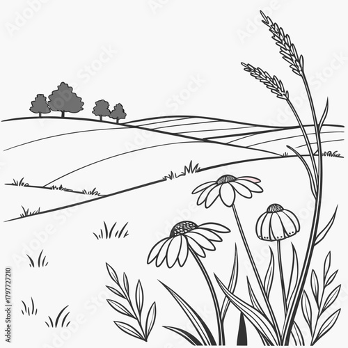 Stylized black and white line drawing of a serene countryside landscape with rolling hills blooming daisies and tall grass