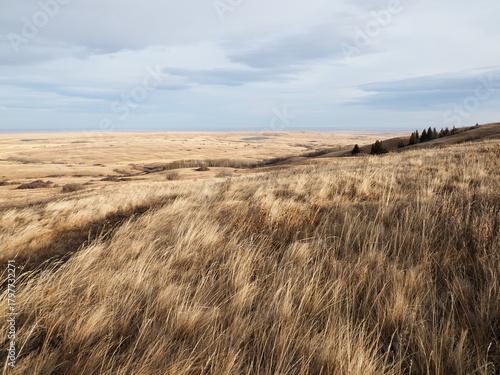 Cypress Hills provincial park in southern Alberta - travel and tourism, hiking