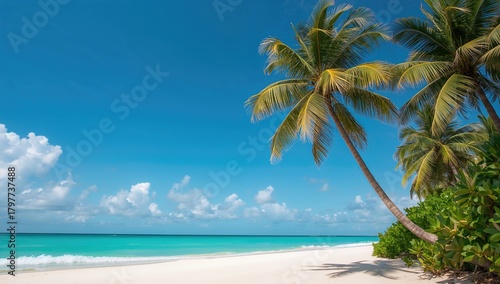 Wallpaper Mural Palm tree against a clear blue sky, showcasing a tropical setting, ideal for a vacation theme. Torontodigital.ca