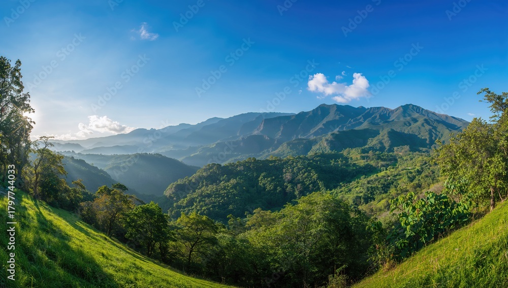 Naklejka premium Summer landscape with mountains, forest, and grassy fields under a bright sky
