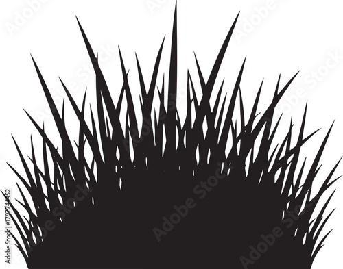 Isolated a kind of tall grass or reeds field vector silhouette representing prairie nature wilderness serenity and outdoor environmental scenes